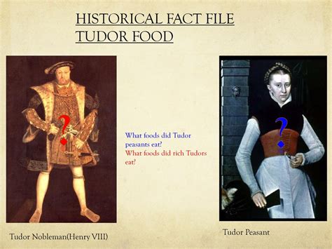 tudors food consumption